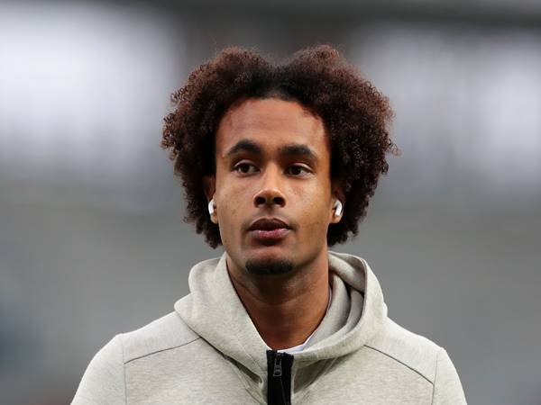 Sự nghiệp bóng đá của Joshua Zirkzee ra sao?