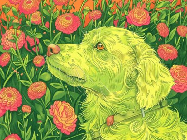 Vận may nở rộ với số đẹp tuổi Bính Tuất 29/11/2025