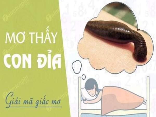 Nằm mơ thấy bị đỉa cắn